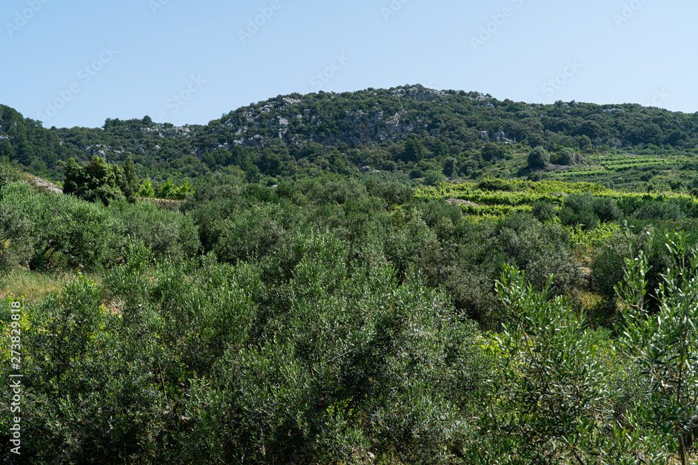 The island of Hvar