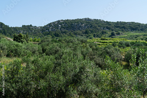 The island of Hvar