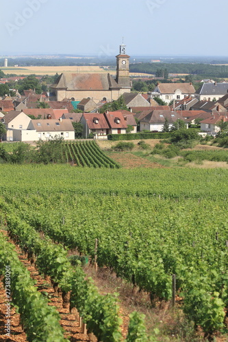 Bourgogne - vignoble - village de Marsannay