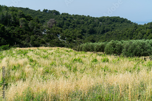 The island of Hvar