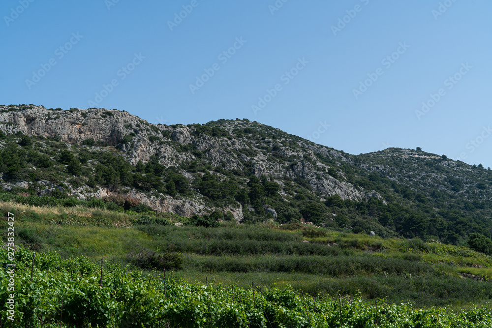 Naklejka premium The island of Hvar