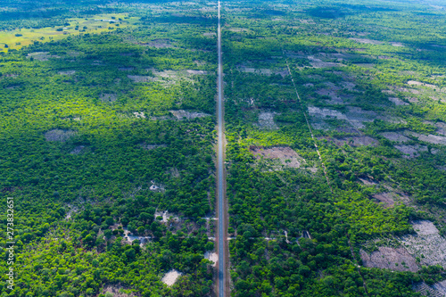 Kasanka National Park, Serenje, Provincia central, Zambia, Africa photo