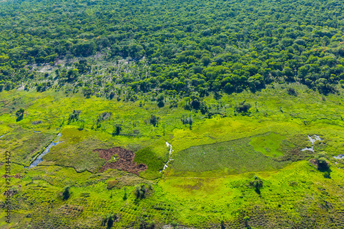 Kasanka National Park, Serenje, Provincia central, Zambia, Africa photo