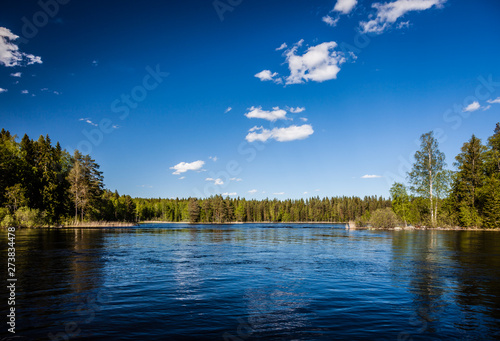 Summer landscape - lake on a Sunny summer day