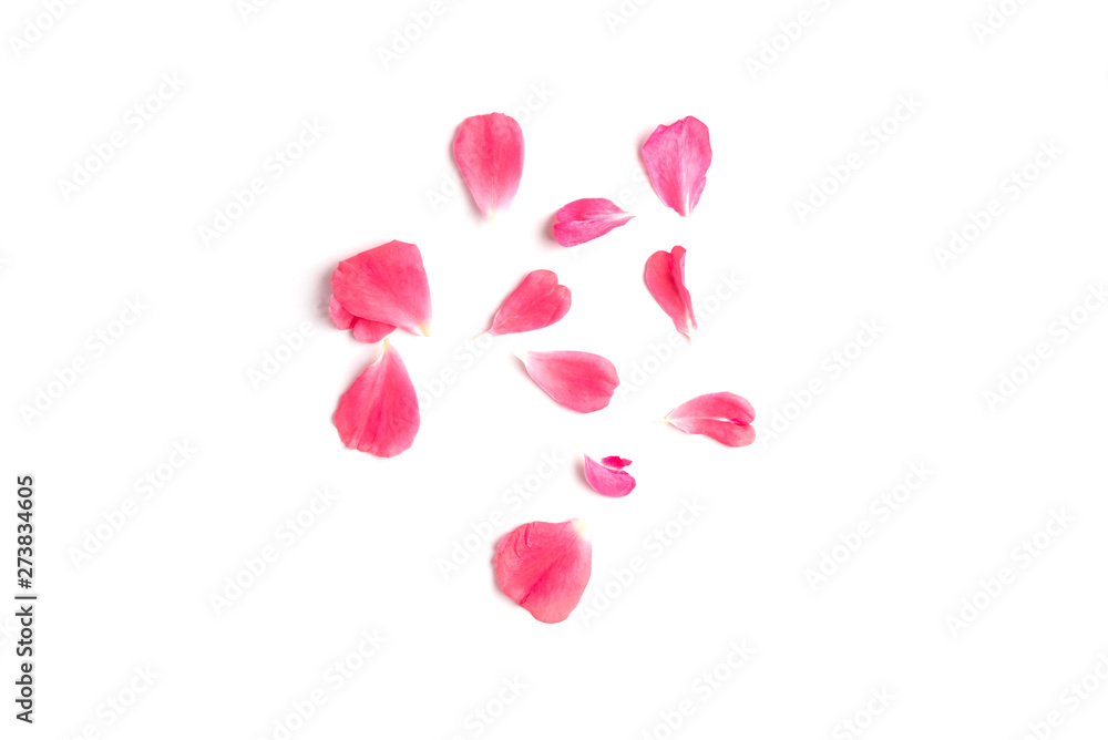 Pink rose petals isolated on white background. Pink rose petals isolated on white background.