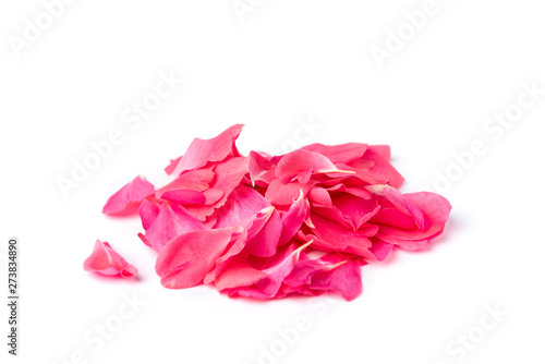 Pink rose petals isolated on white background.