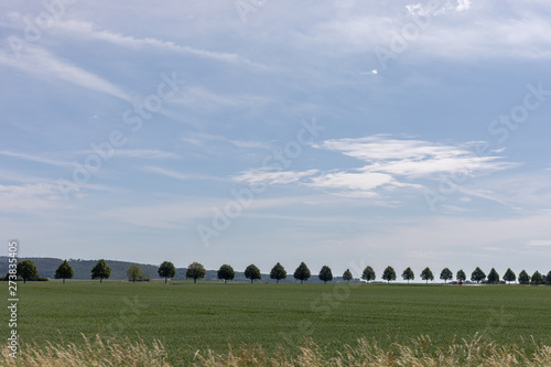 German countryside landscape: series of trees with hills as background