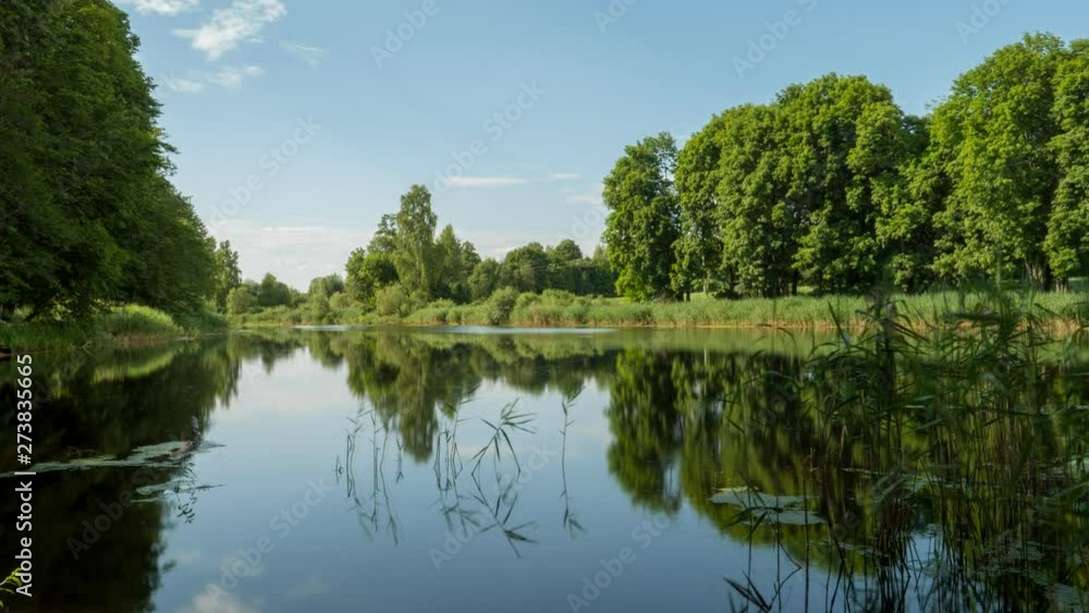 summer landscape on a quiet forest lake