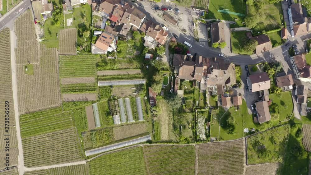 Aerial ascension over Savuit village in Lavaux vineyard. Vaud, Switzerland. Aerial ascension over Savuit village in Lavaux vineyard. Vaud, Switzerland.