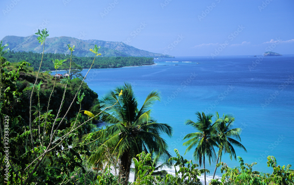 landschaft auf bali