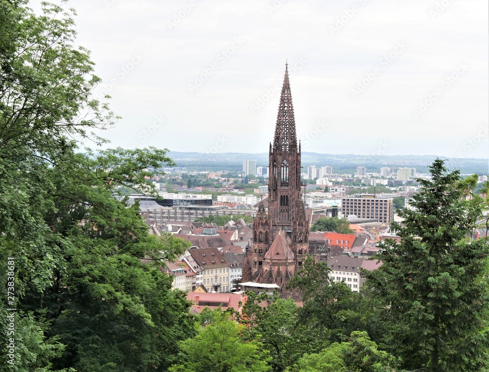Fototapeta premium Freiburger Münster