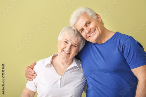 Portrait of senior couple o...