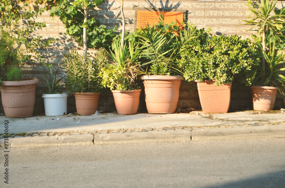 Flower pots near the house. Bodrum street view in Turkey. - Image Flower pots near the house. Bodrum street view in Turkey. - Image