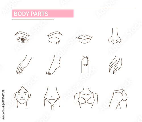 body parts