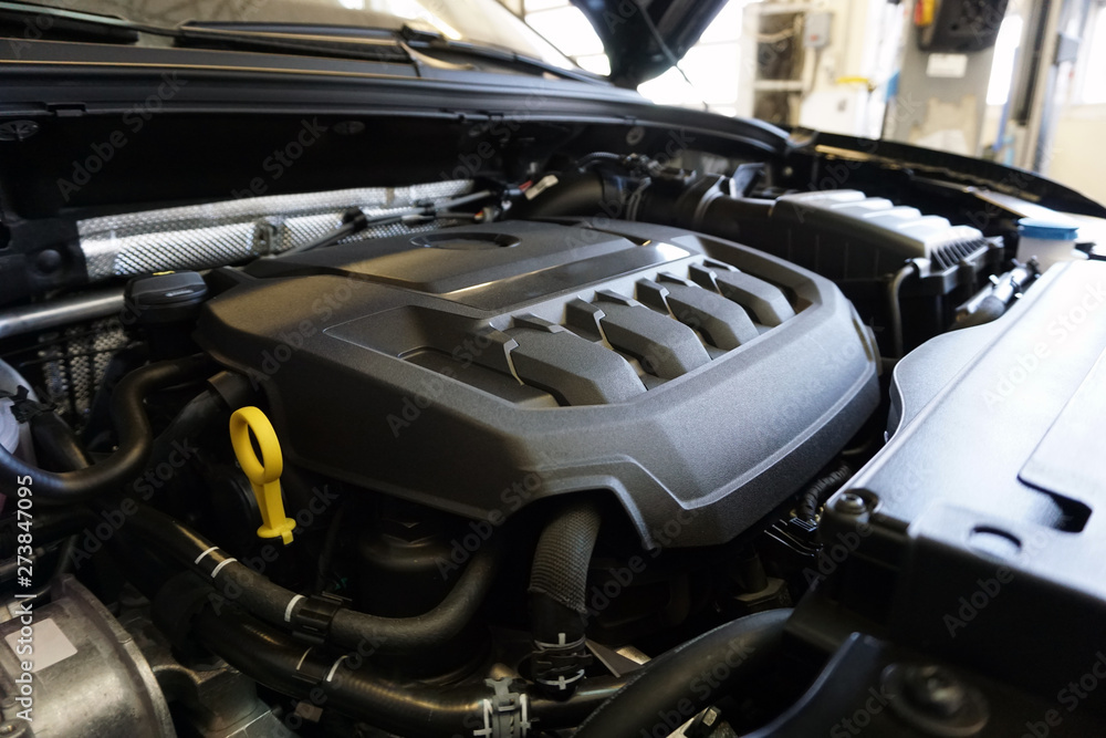 Car engine compartment is opened. View of clean engine compartment