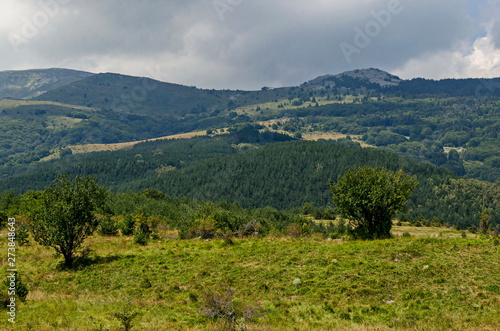 Panorama of glade and green forest in front of Black peak, Vitosha mountain, Bulgaria 