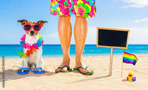gay pride dog and owner on   summer holidays © Javier brosch