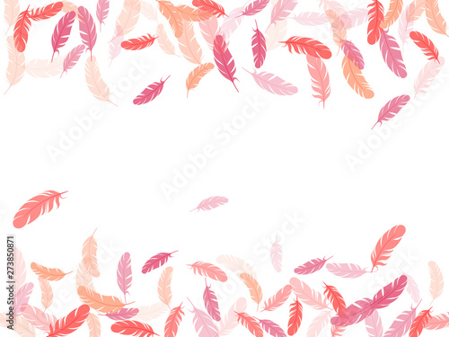 Detailed majestic feather on white design.