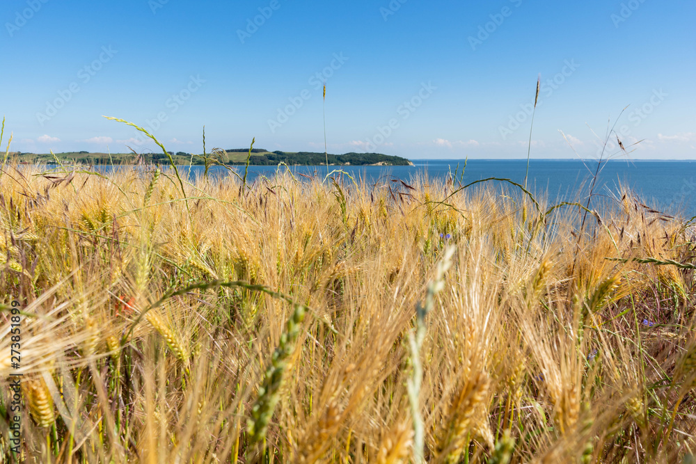 Reedevitzer Höft, Halbsinel Mönchgut, Insel Rügen Reedevitzer Höft, Halbsinel Mönchgut, Insel Rügen