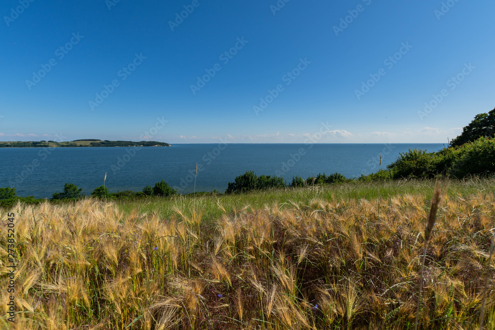 Reedevitzer Höft, Halbsinel Mönchgut, Insel Rügen Reedevitzer Höft, Halbsinel Mönchgut, Insel Rügen