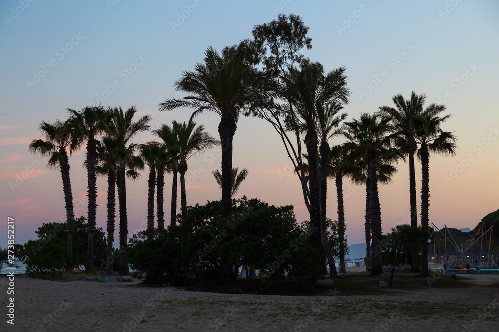 Obraz premium Palm trees silhouettes on beach at vivid sunset time.
