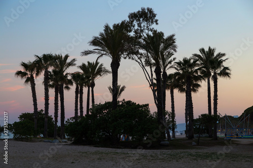 Palm trees silhouettes on beach at vivid sunset time.