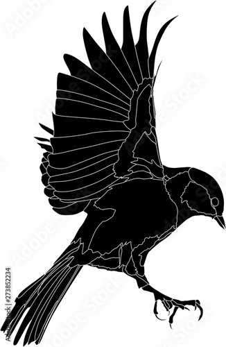 illustration with great tit in flight silhouette