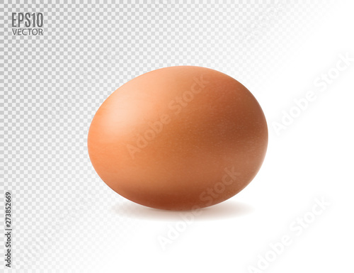 Realistic egg icon, isolated on transparent background. Vector illustration
