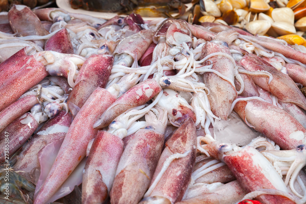 Assortment of fresh squids, Malaysia Assortment of fresh squids, Malaysia