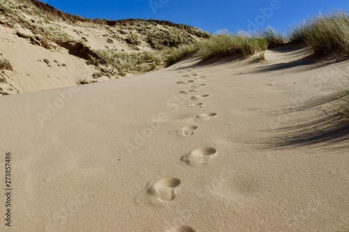 footprints in the sand