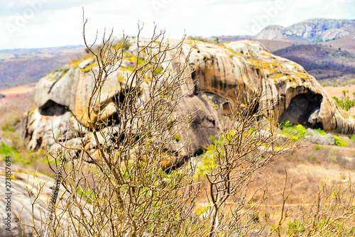 dead tree in the field and stone of the skull, tourism in brazil, brazilian landscape photo