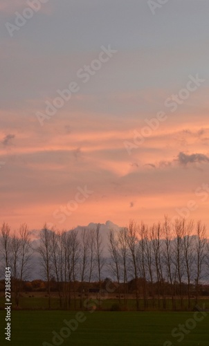 Wallpaper Mural sunset and trees Torontodigital.ca