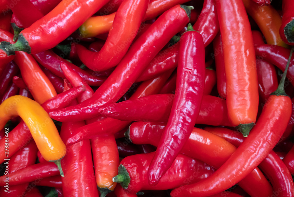 Hot Red peppers background