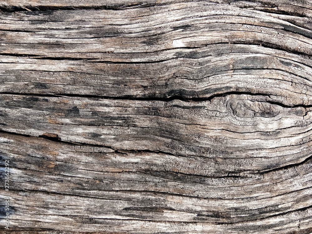 Old wooden floor for graphic design or wallpapers Old wooden floor for graphic design or wallpapers