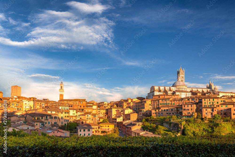 Siena town, panoramic view of ancient city in the Tuscany region of Italy, Europe.