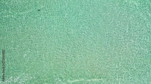 aerial drone static shot of crystal clear turquoise water of tropical island in Caribbean sea, small waves and one Stingray fish photo