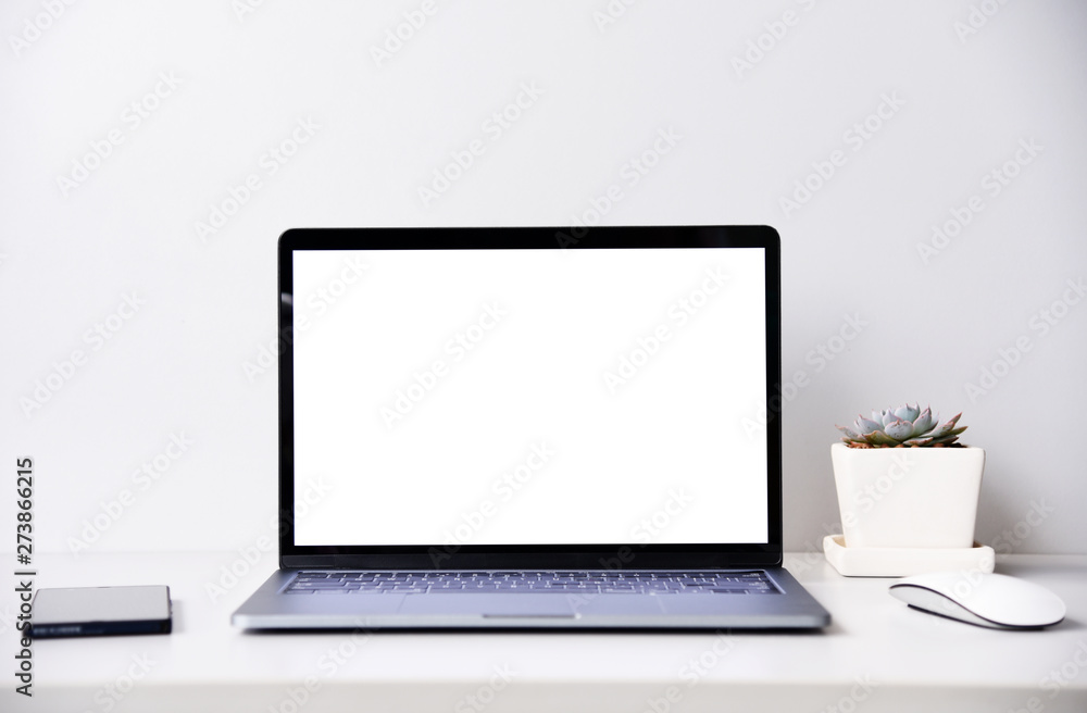 blank screen Modern laptop computer with mouse,Smart phone and Succulent on wood table in office view backgrounds blank screen Modern laptop computer with mouse,Smart phone and Succulent on wood table in office view backgrounds