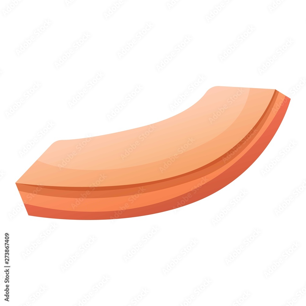 Human skin part icon. Cartoon of human skin part vector icon for web design isolated on white background Human skin part icon. Cartoon of human skin part vector icon for web design isolated on white background