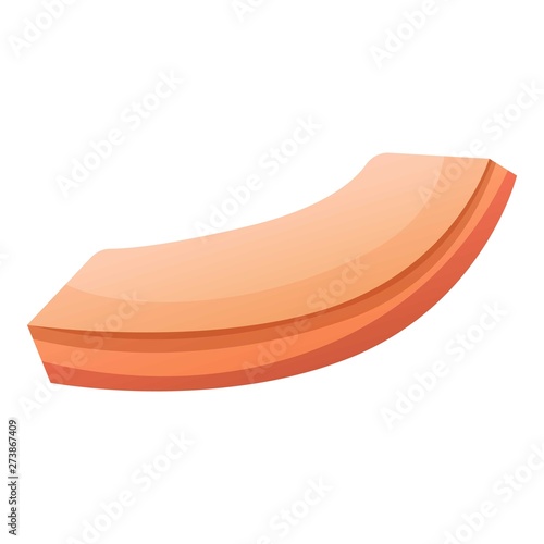 Human skin part icon. Cartoon of human skin part vector icon for web design isolated on white background