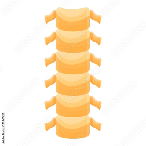 Human spine icon. Cartoon of human spine vector icon for web design isolated on white background