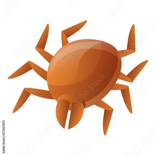 Brown mite icon. Cartoon of brown mite vector icon for web design isolated on white background