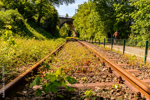 Canvas-taulu Alte Bahntrasse