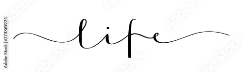 LIFE vector brush calligraphy banner