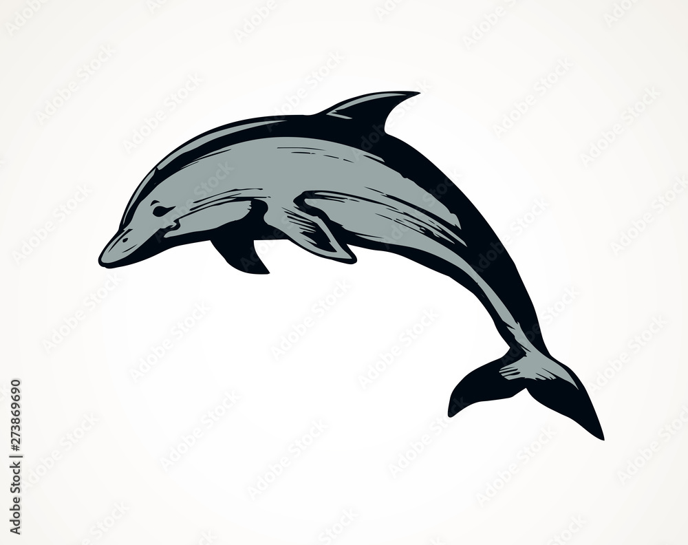 Fototapeta premium Dolphin. Vector drawing