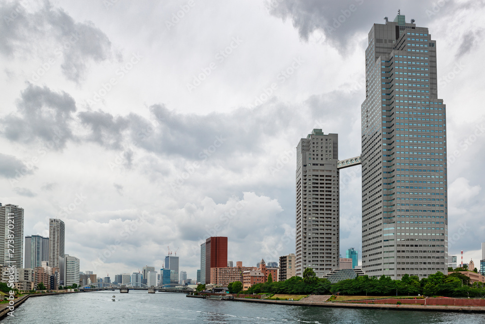Obraz premium Tokyo city
