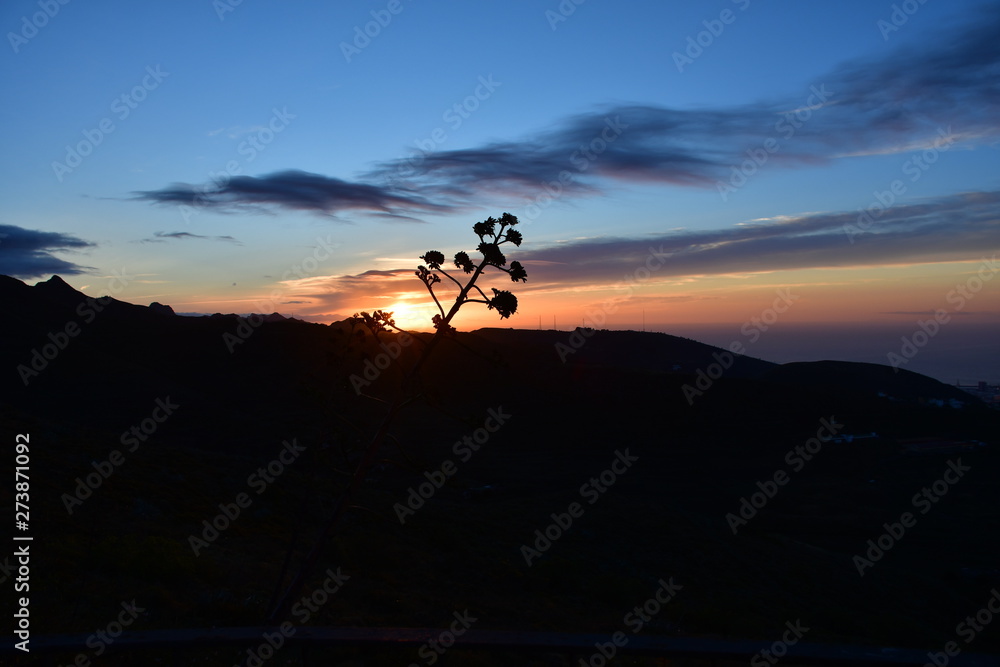 Sunrise in San Roque, La Laguna