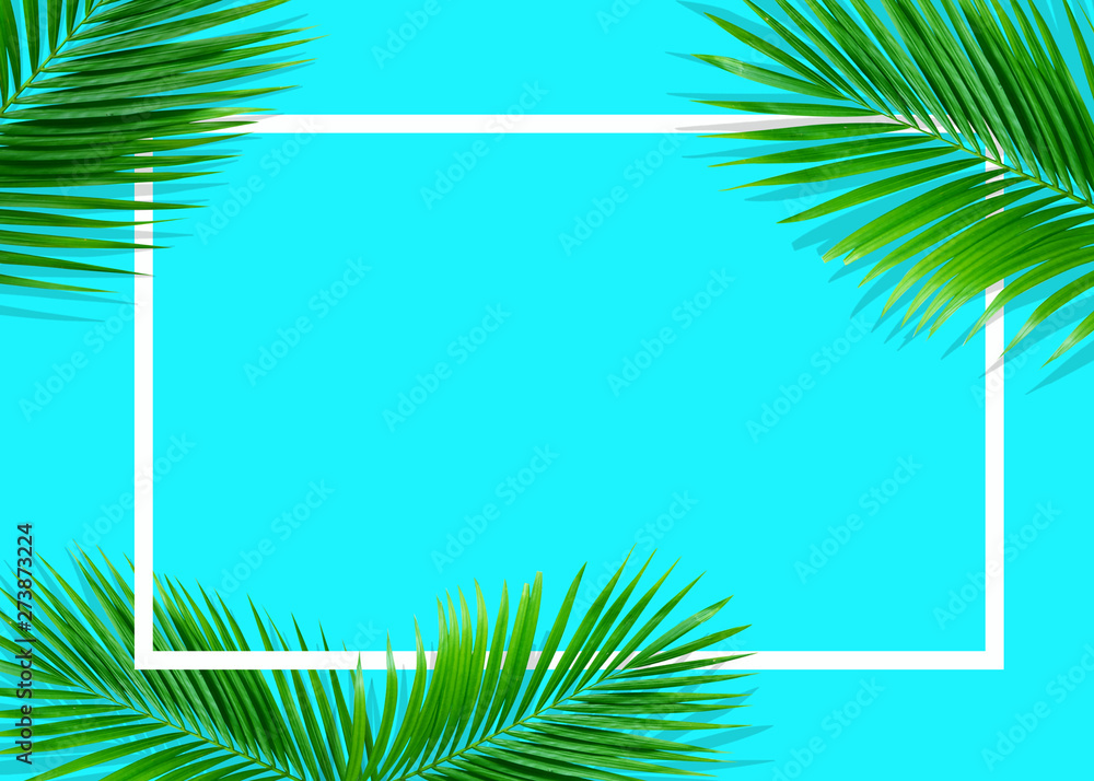Tropical green monstera leaves nature on blue background with frame design