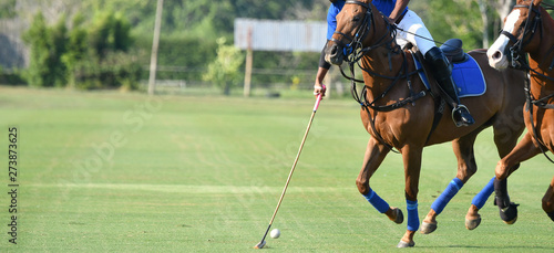 player hit a polo ball with a mallet in match.