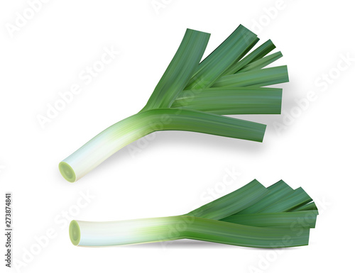 Realistic Fresh Leek High Quality Vector Illustration EPS10
