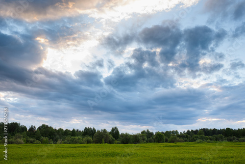 Dramatic sunset on the summer field. © Grigoriy